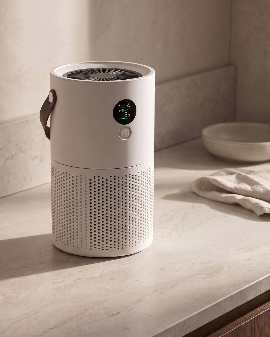 The portable air purifier — Morning
