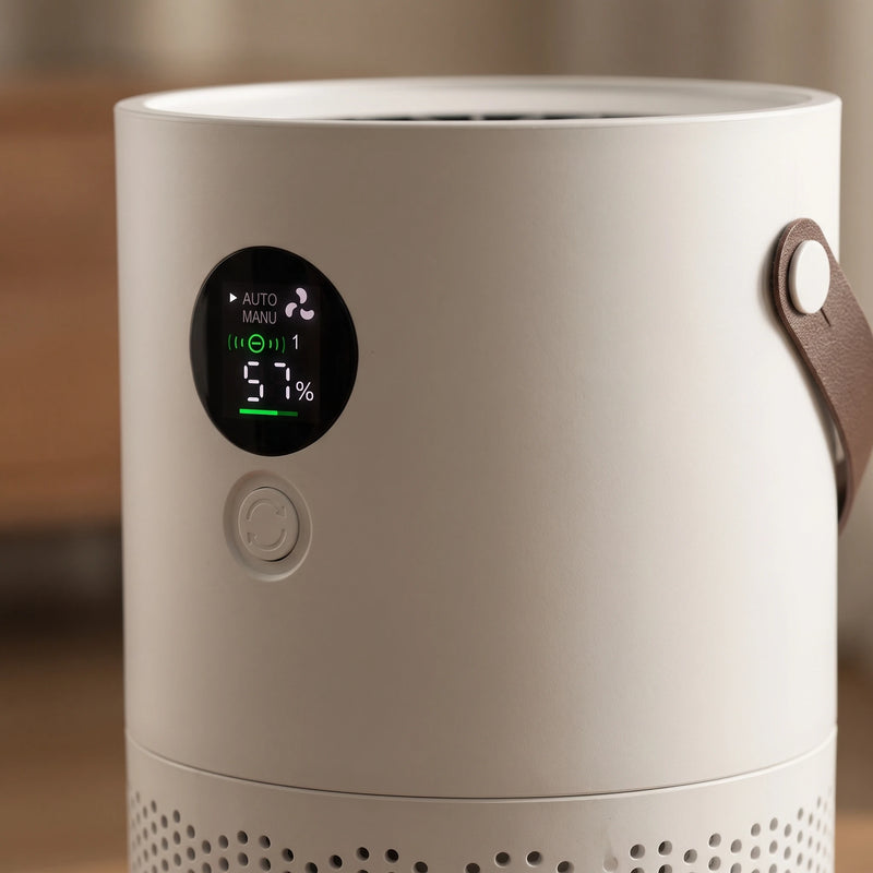 The portable air purifier — display