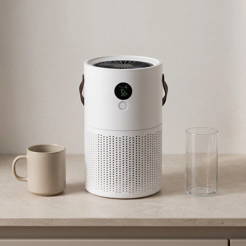 The portable air purifier — scale