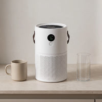 The portable air purifier — scale