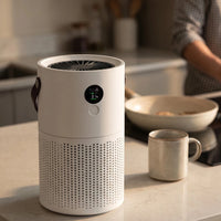 HEPA Air Purifier — The kitchen, while something is on the hob