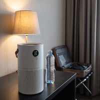 HEPA Air Purifier — A room that is not yours