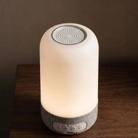 The bedside lamp — top speaker disc